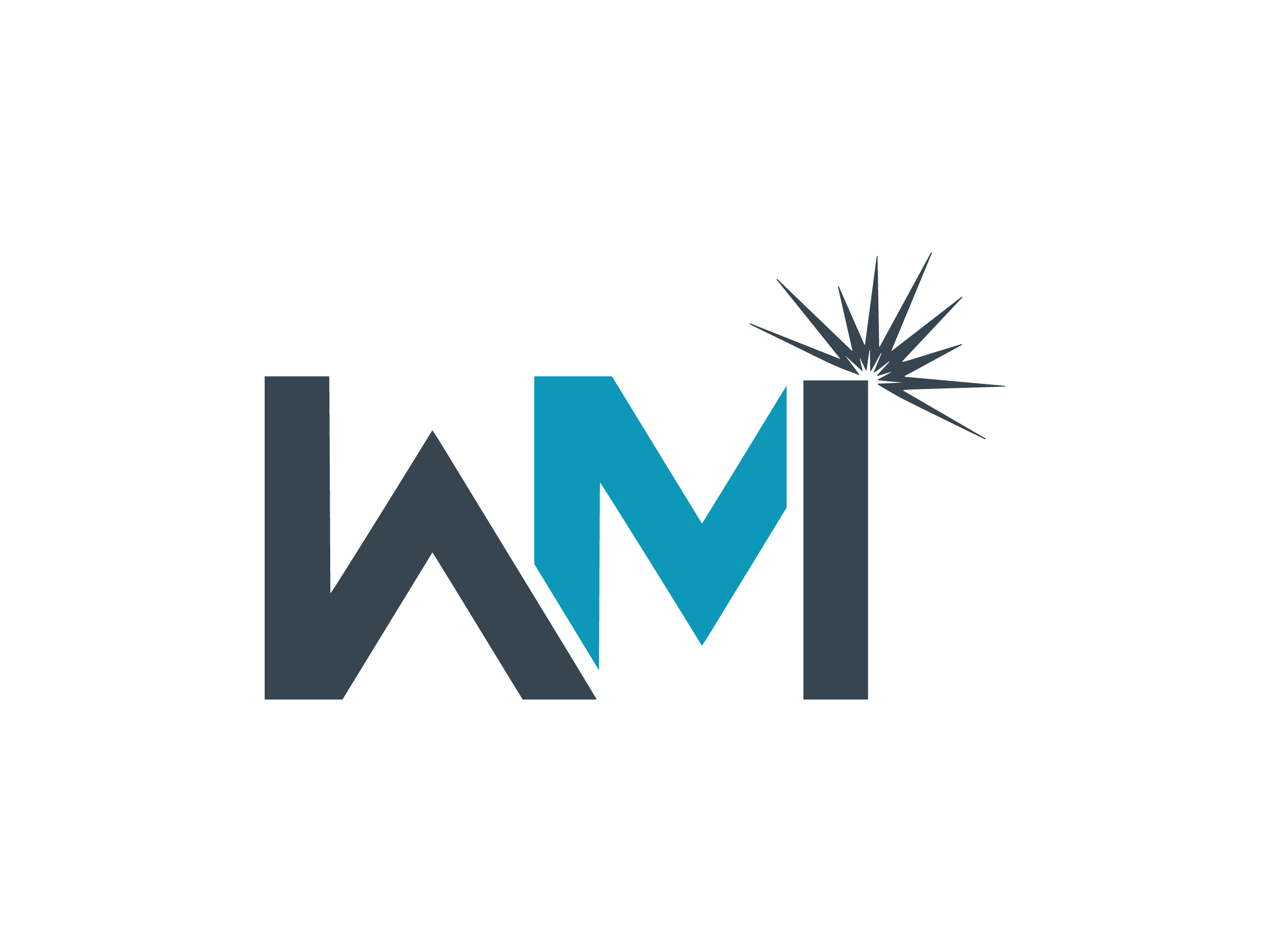 Woolley's Mill Inspection Ltd.