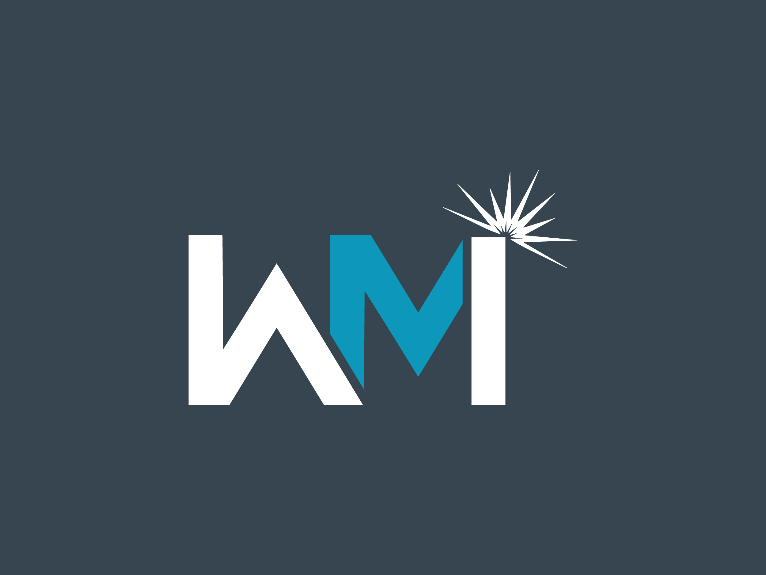 Woolley's Mill Inspection Ltd.